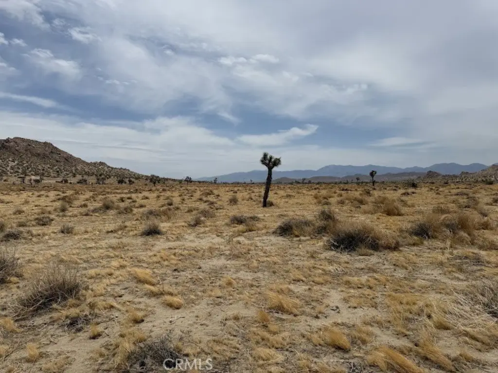 Picture 27