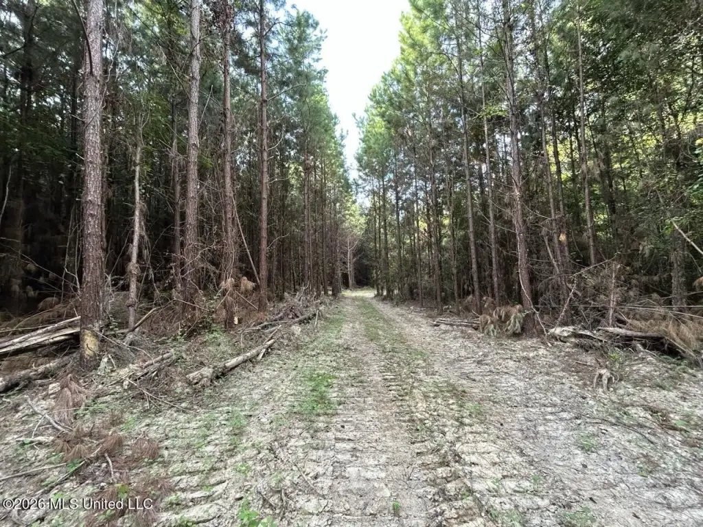 Picture 28