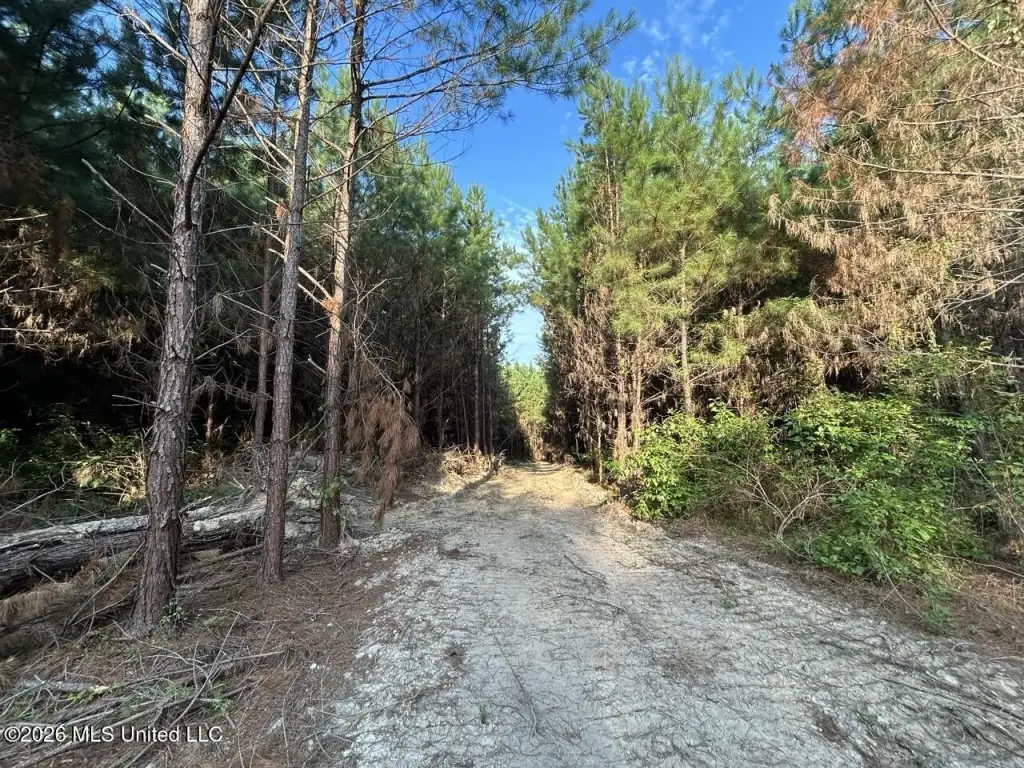 Picture 20