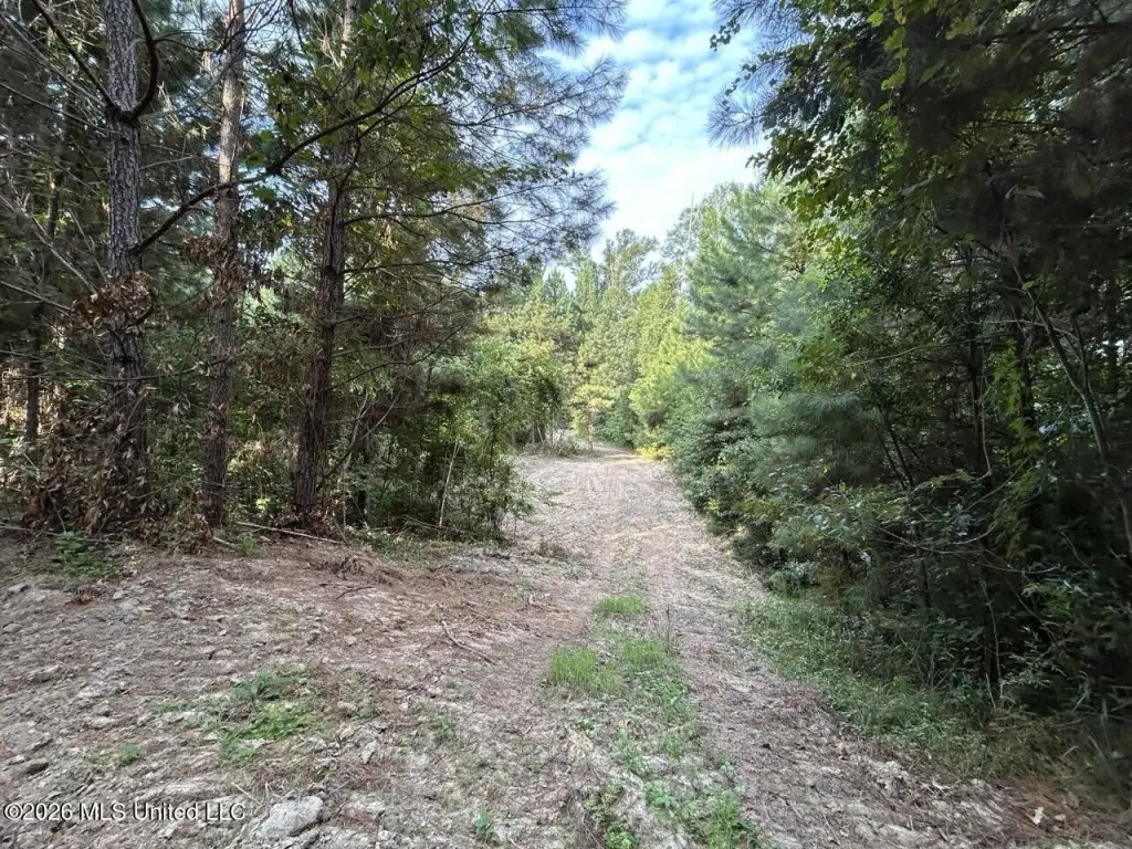 Picture 33