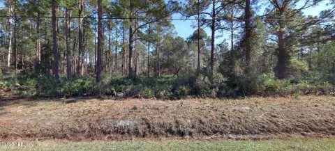 Land in Hastings, Florida