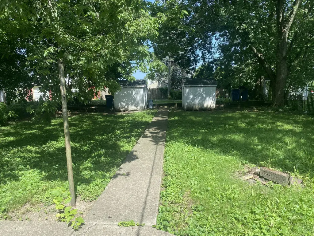 Picture 16