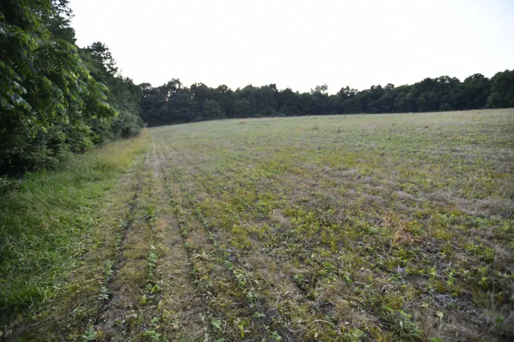 Picture 15