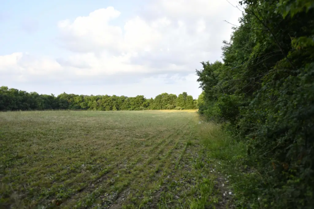 Picture 47