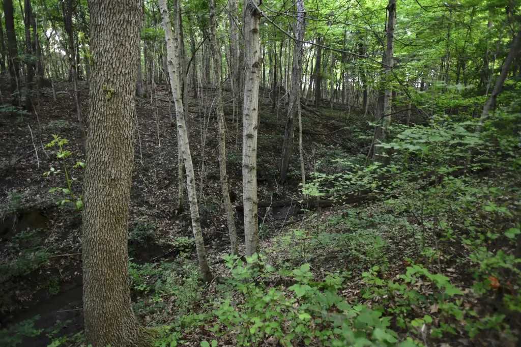 Picture 17