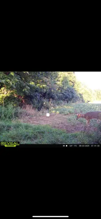 Picture 71