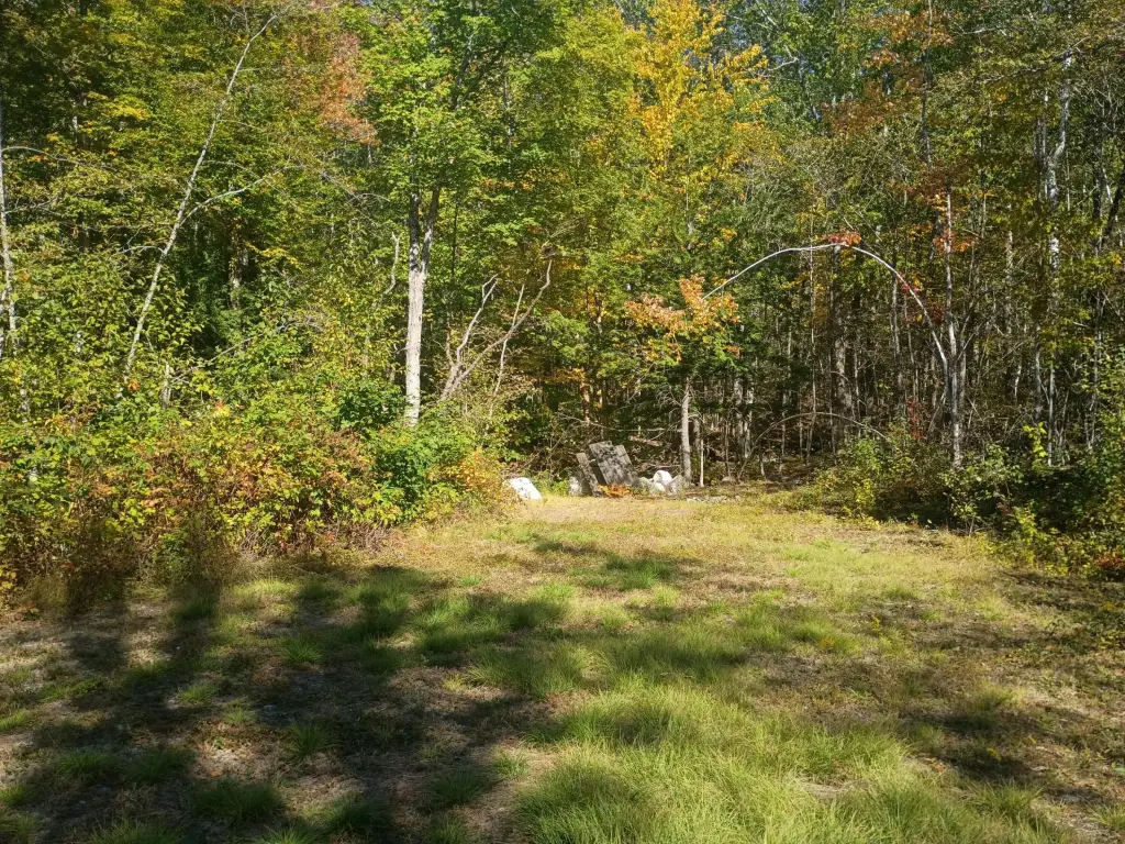 Picture 16