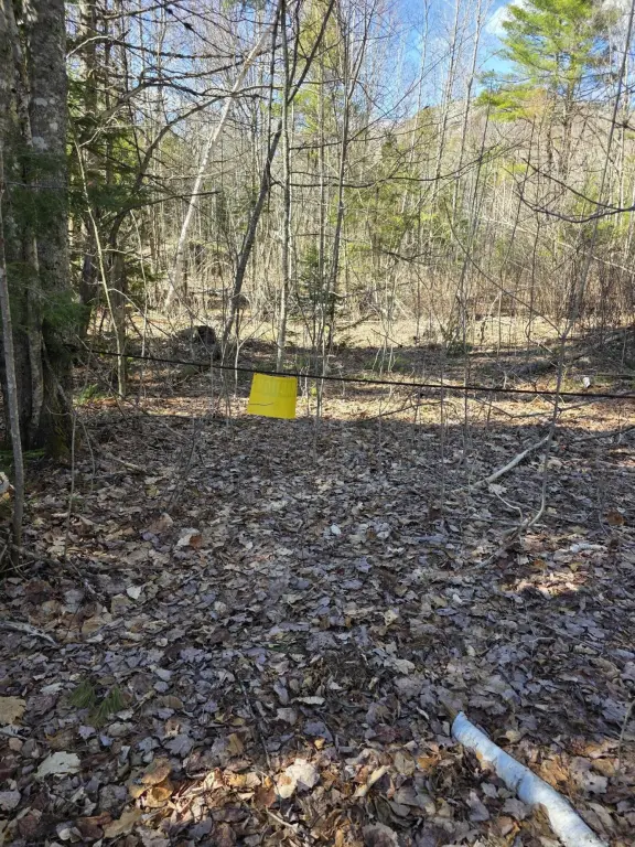 Picture 25