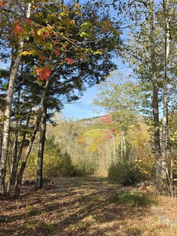 Picture 28