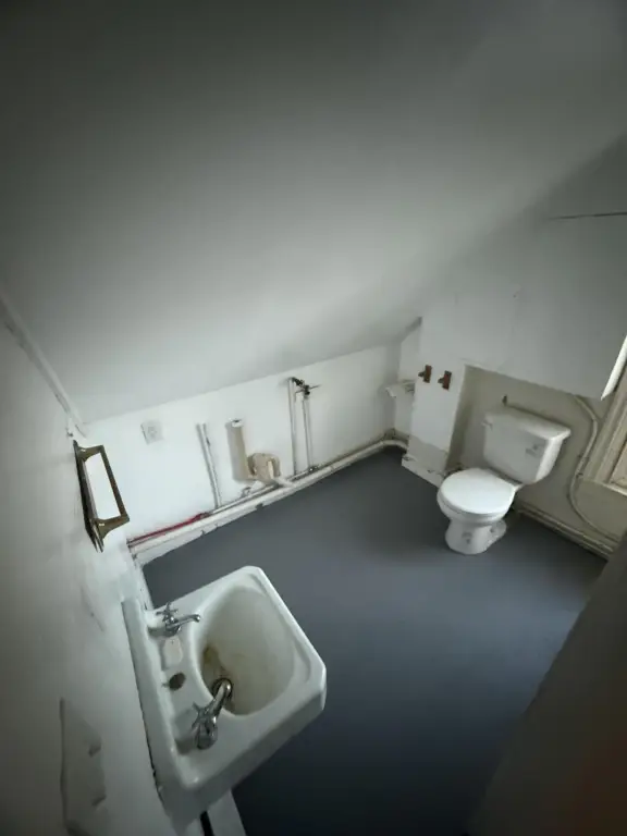Picture 23