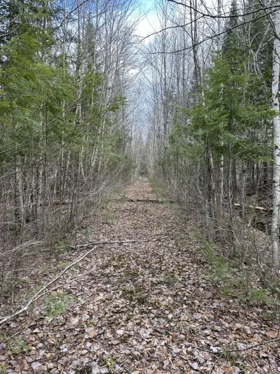 Picture 22