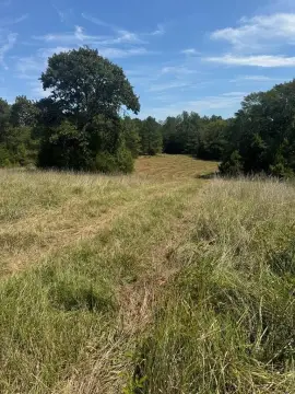 Taylor, MS 12 Acre Tract