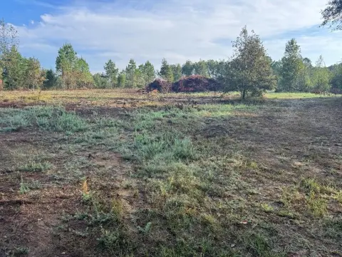 22.5 Acres in Taylor, MS