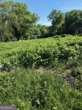Residential Lot in Gainesville, GA