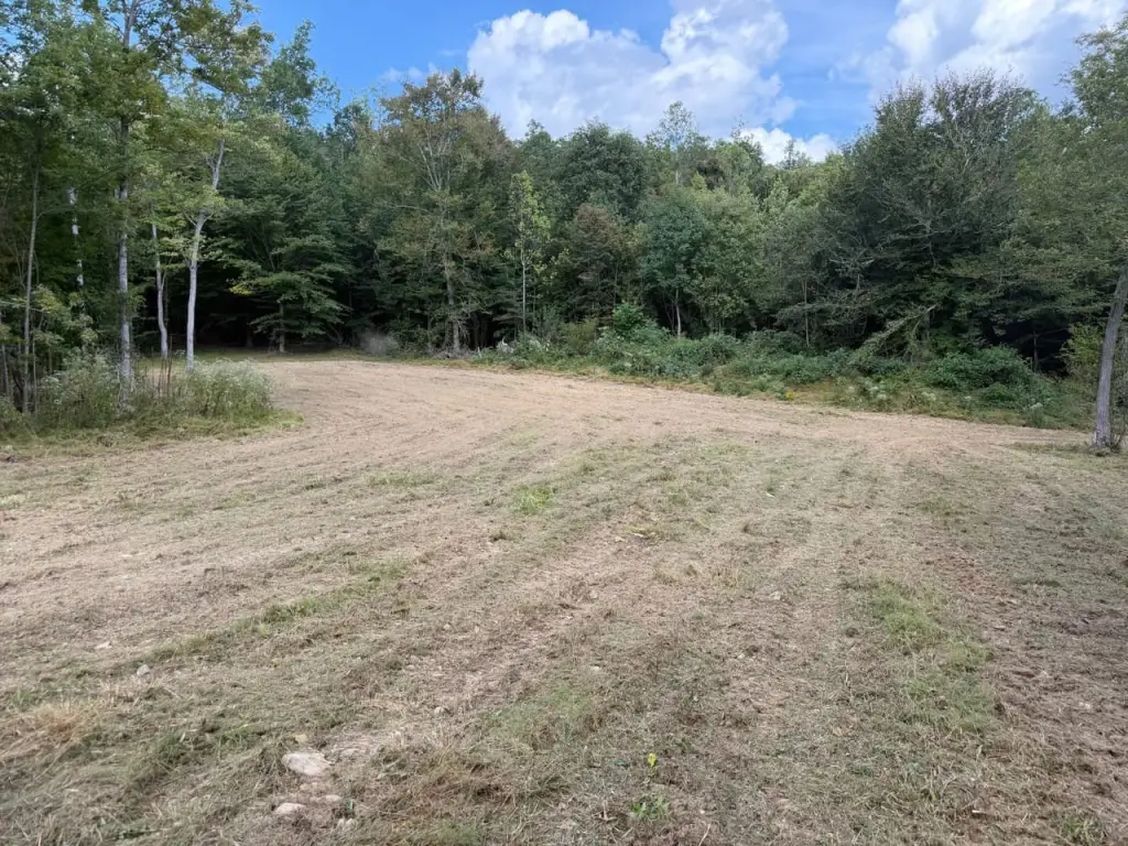 Picture 25