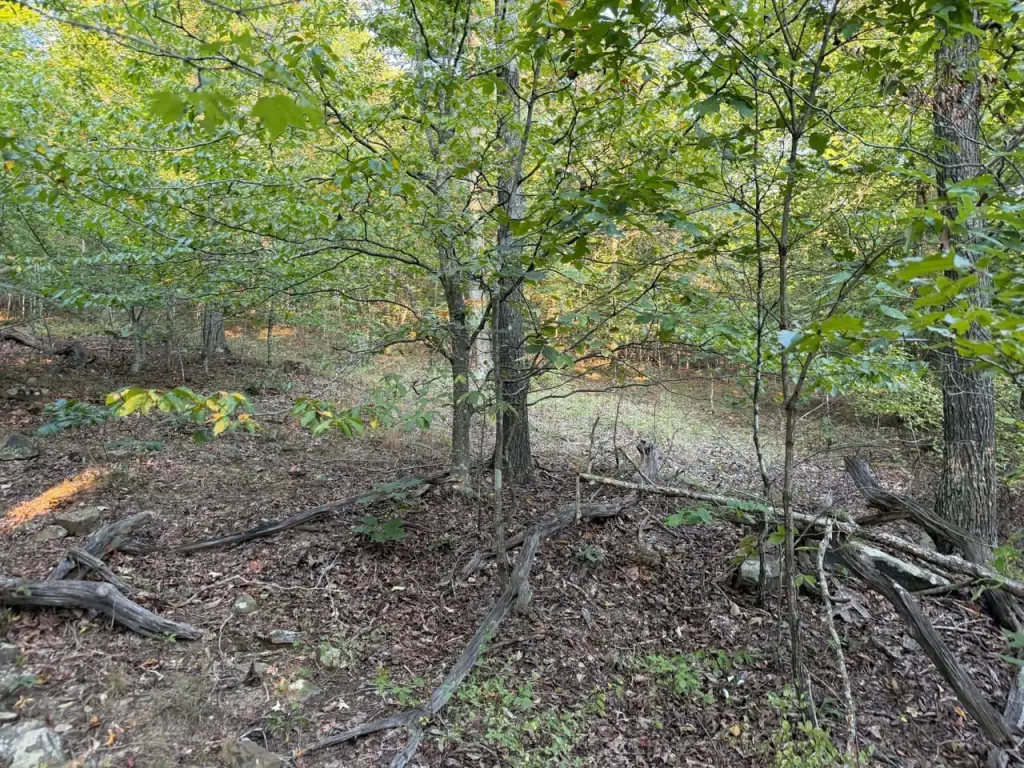 Picture 11