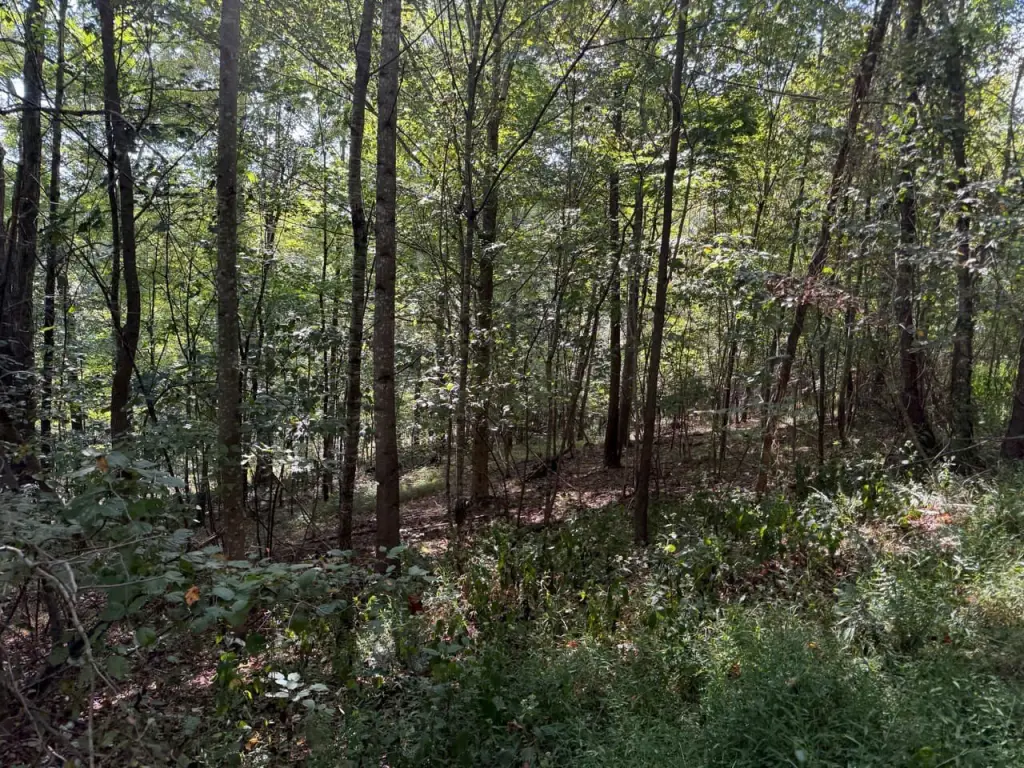 Picture 19
