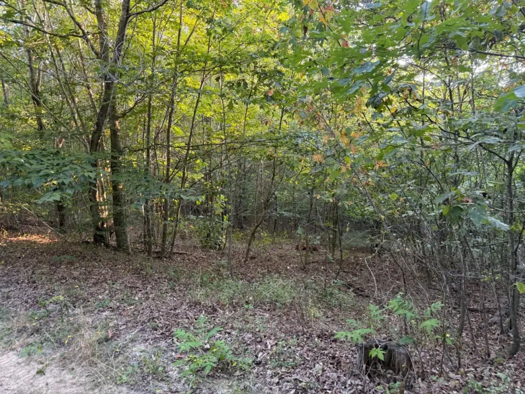 Picture 14