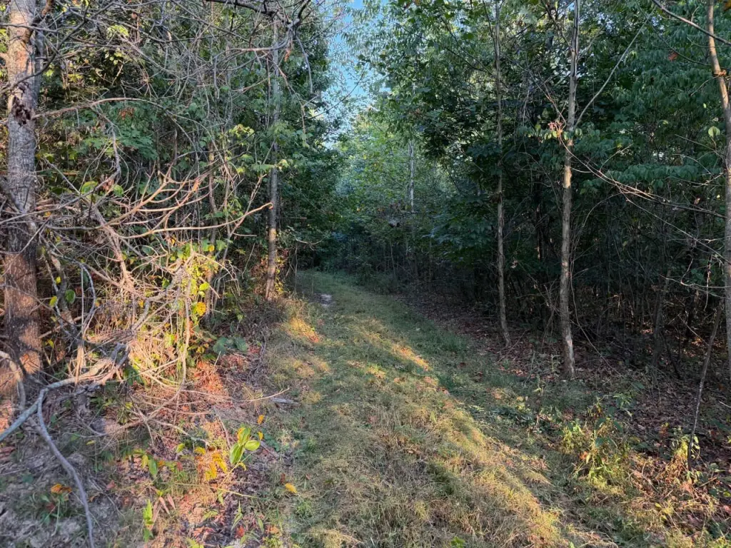 Picture 17