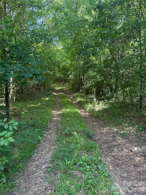 Picture 7