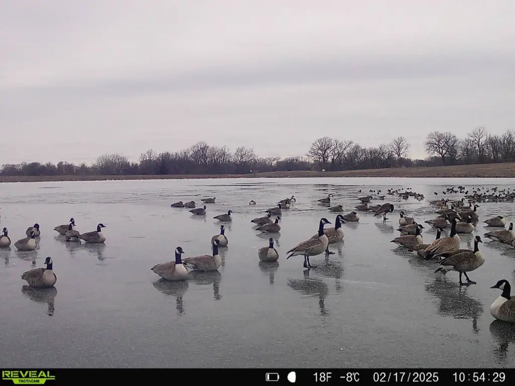 Picture 78