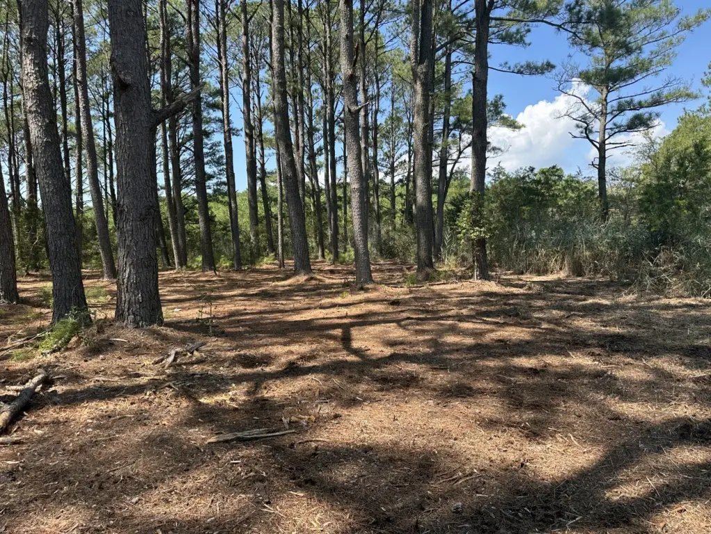 Picture 21