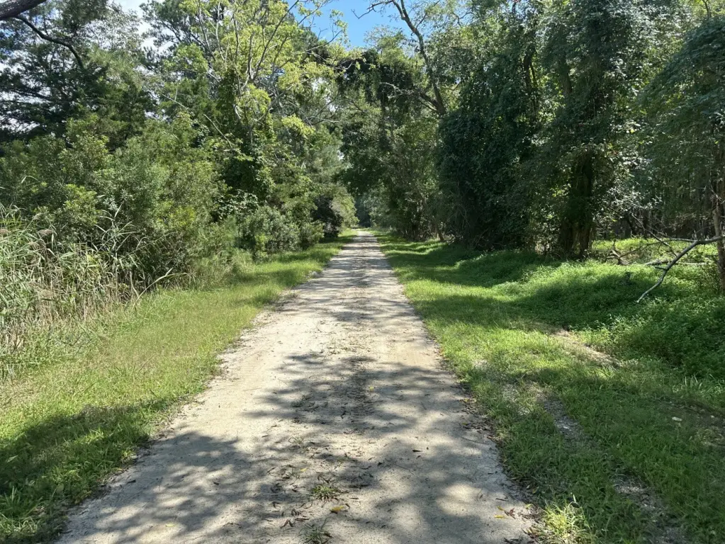 Picture 44