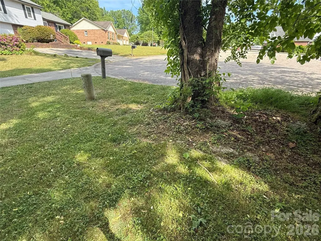Picture 5