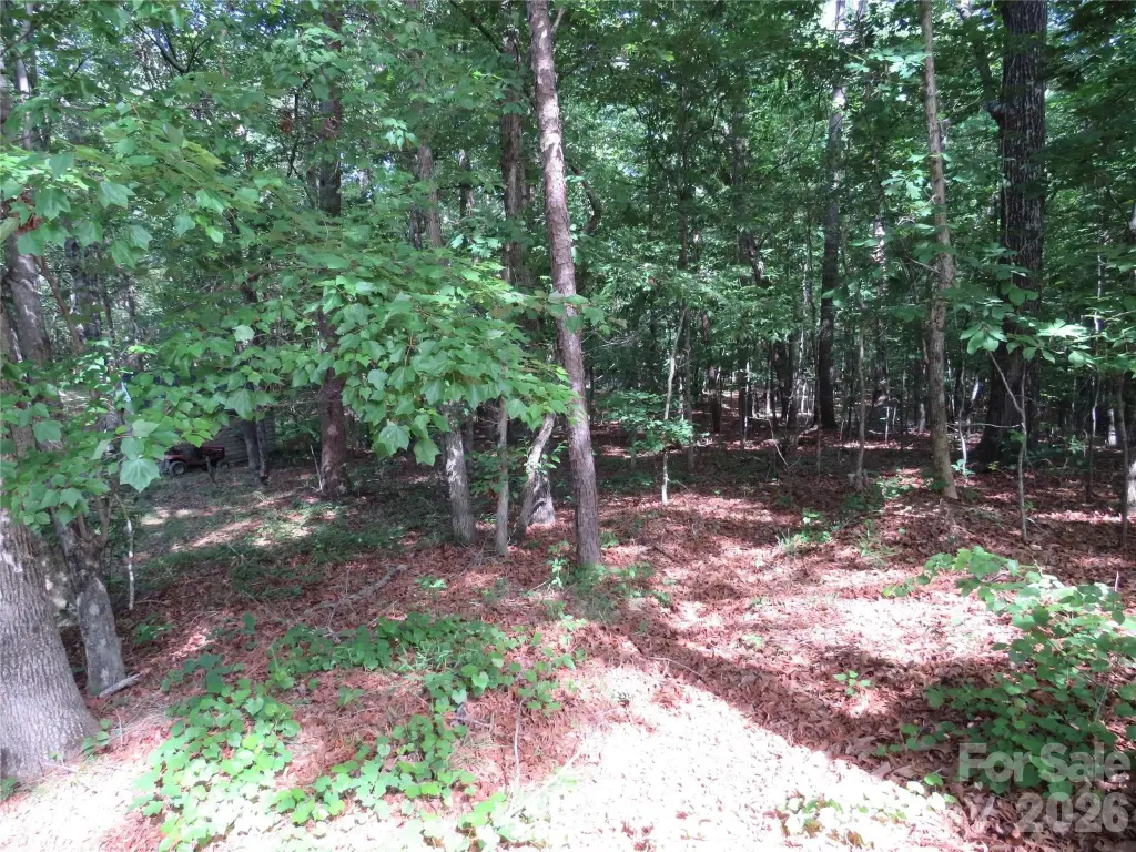 Picture 21