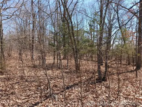 Versailles Wooded Land Tract