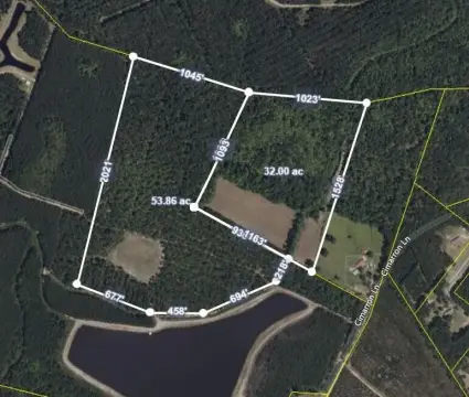 Secluded Land in Walterboro, SC
