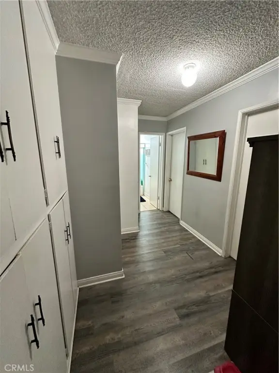 Picture 40