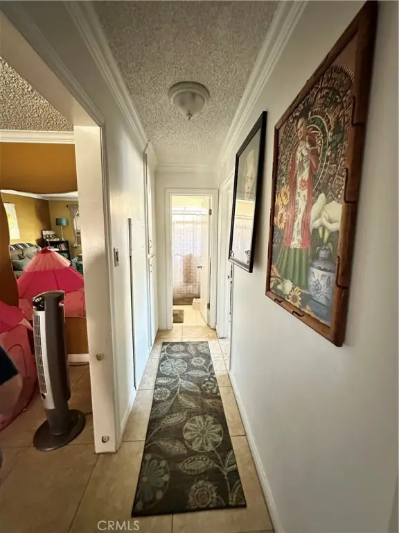 Picture 32