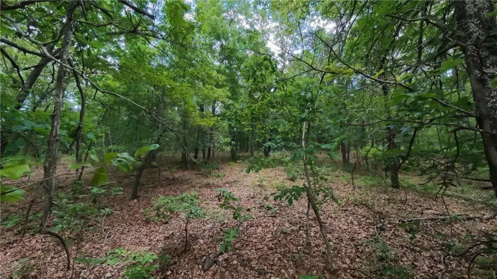 Picture 11