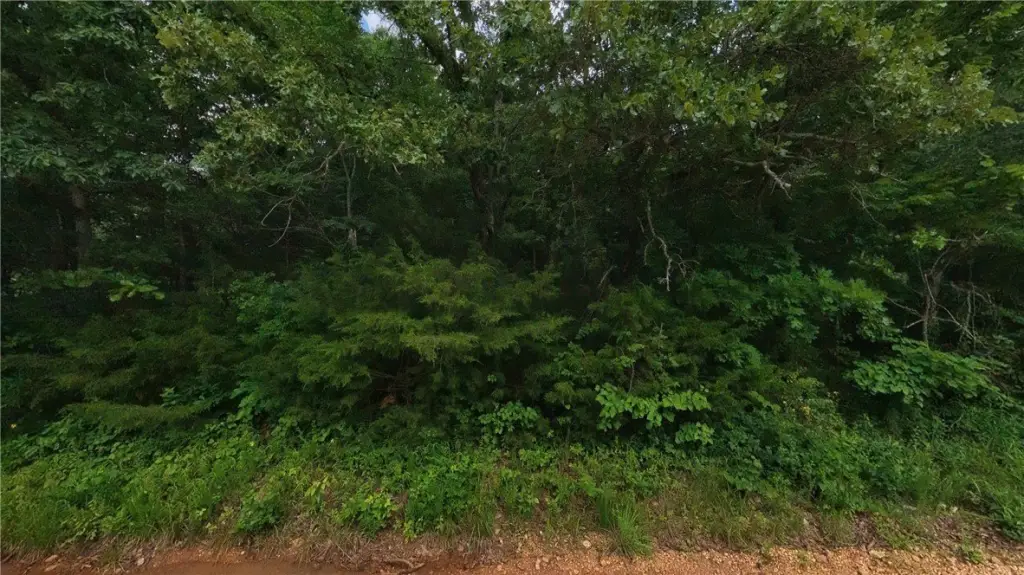 Picture 21