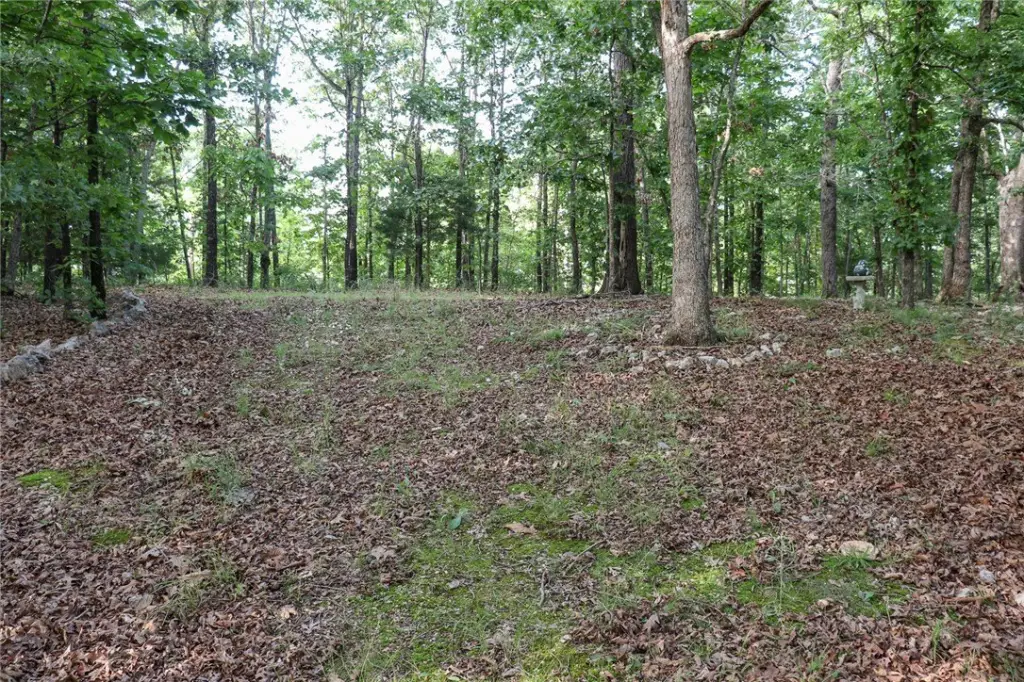 Picture 17
