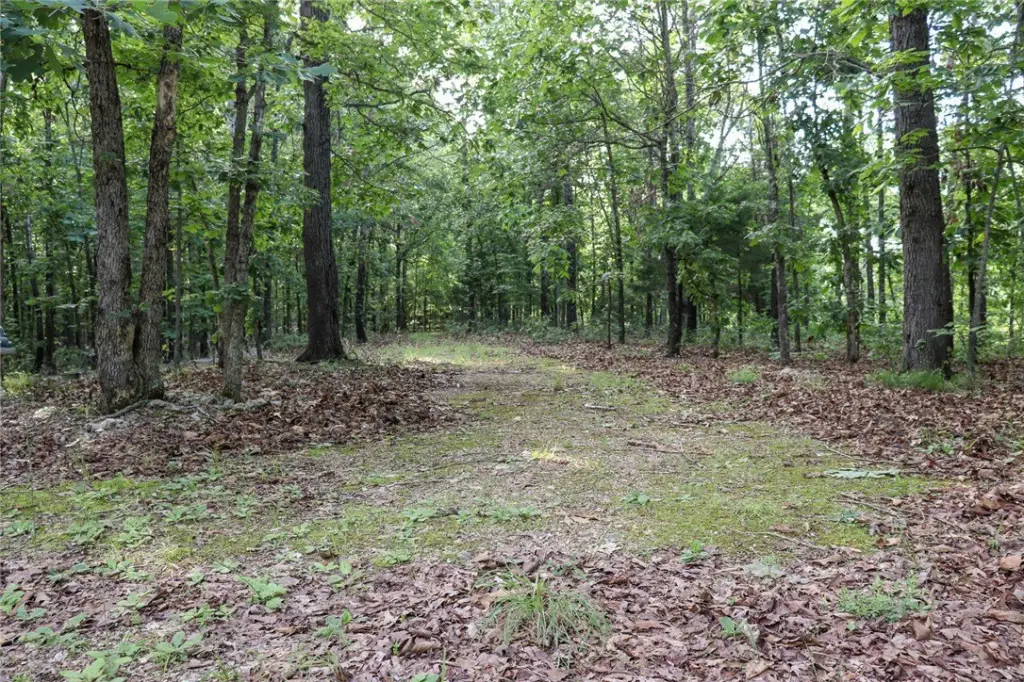Picture 15