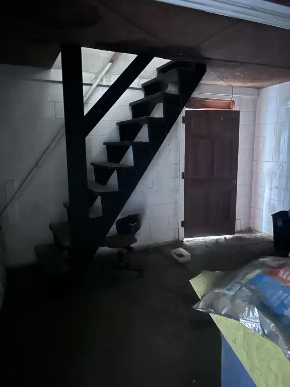 Picture 5