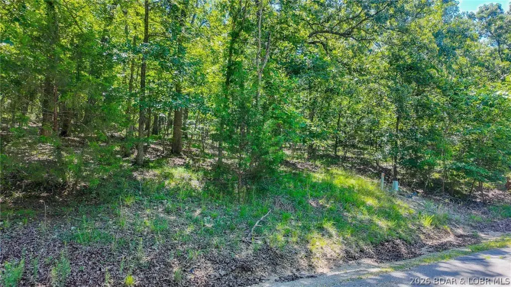 Picture 3
