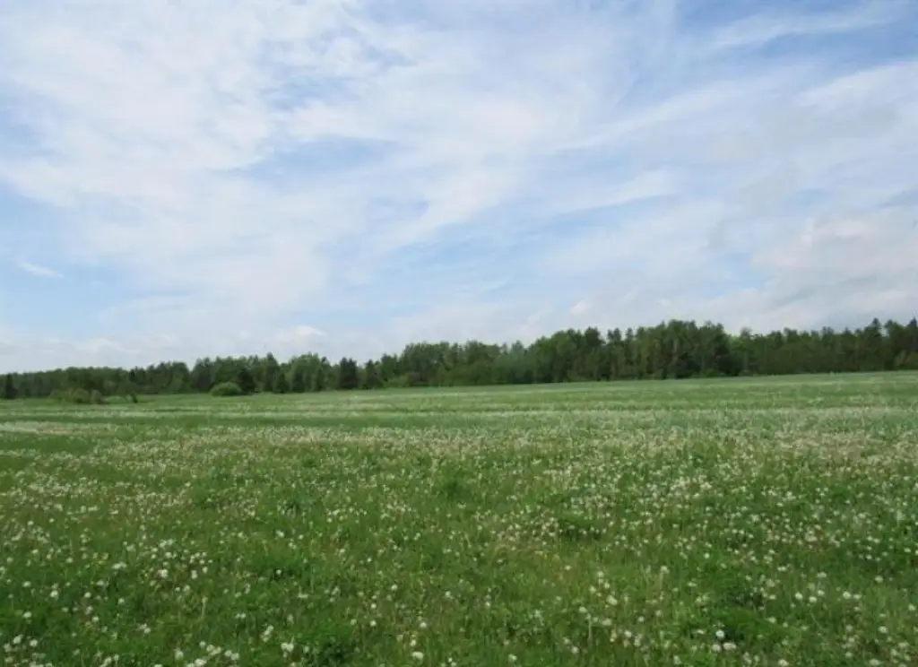 Picture 15