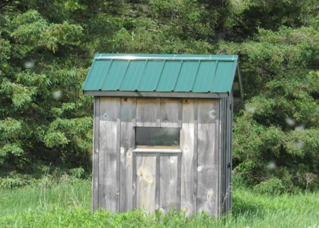 Picture 10