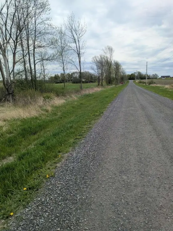 Picture 4