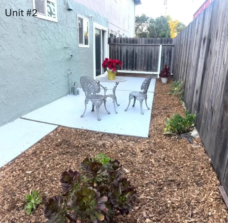 Picture 15