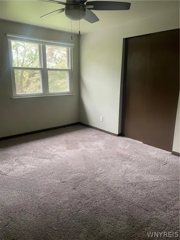 Picture 25