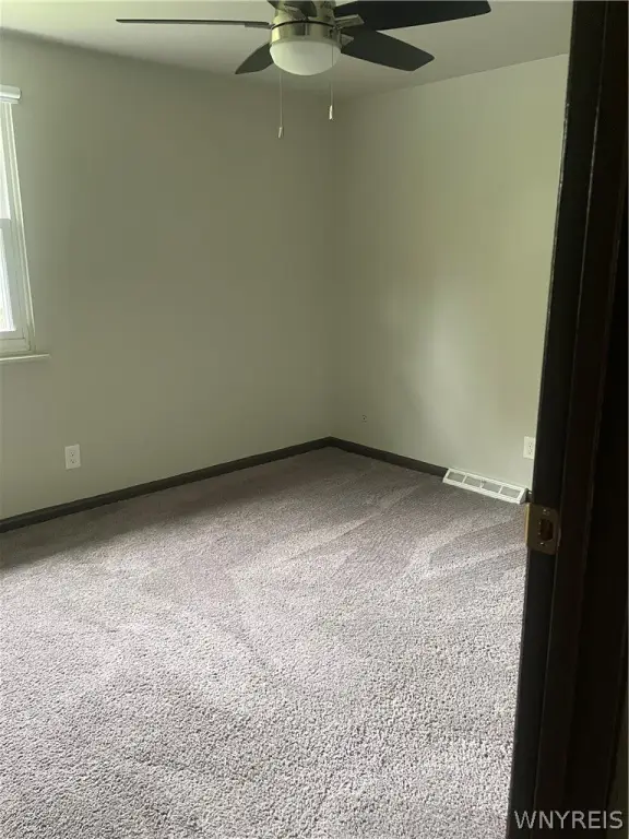 Picture 24