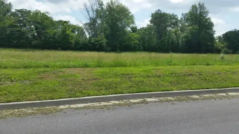 Commercial Land in Developing Area