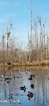 Windsor, NC Recreational/Investment Land