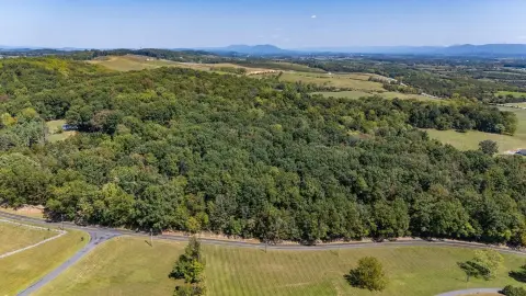 Wooded Land in Verona, VA
