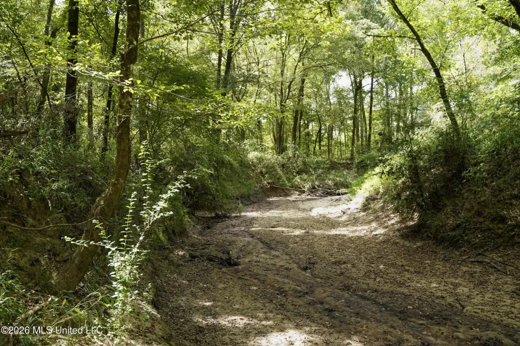 Picture 37