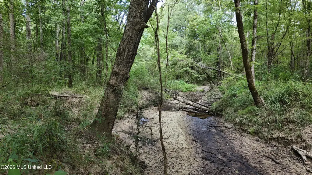 Picture 23